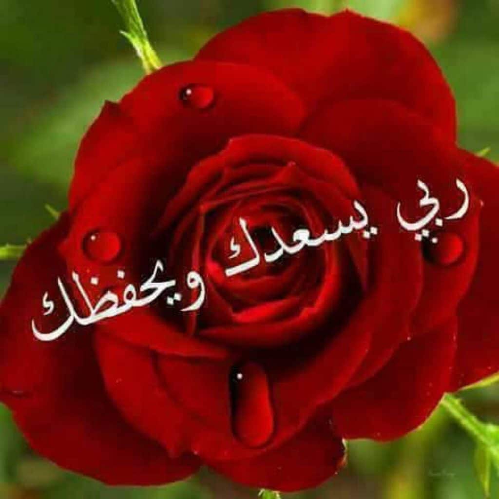 رد على بوركت
