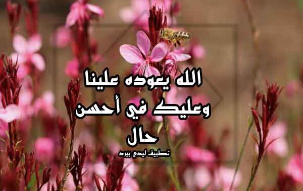 رد على تهنئة رمضان