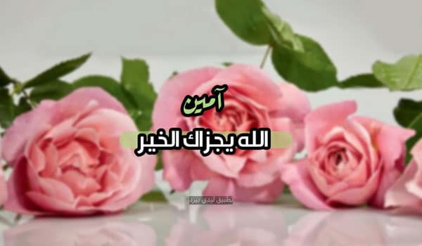 رد على ربي يوفقك