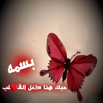 رسائل حب باسم بسمة