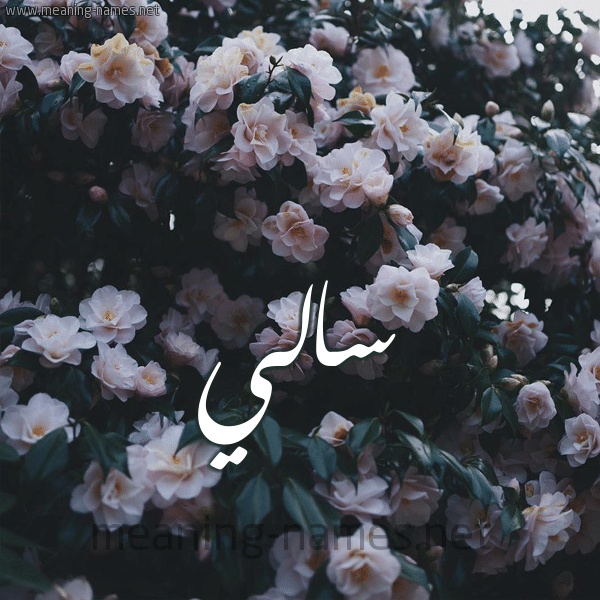 رسائل حب باسم سالي
