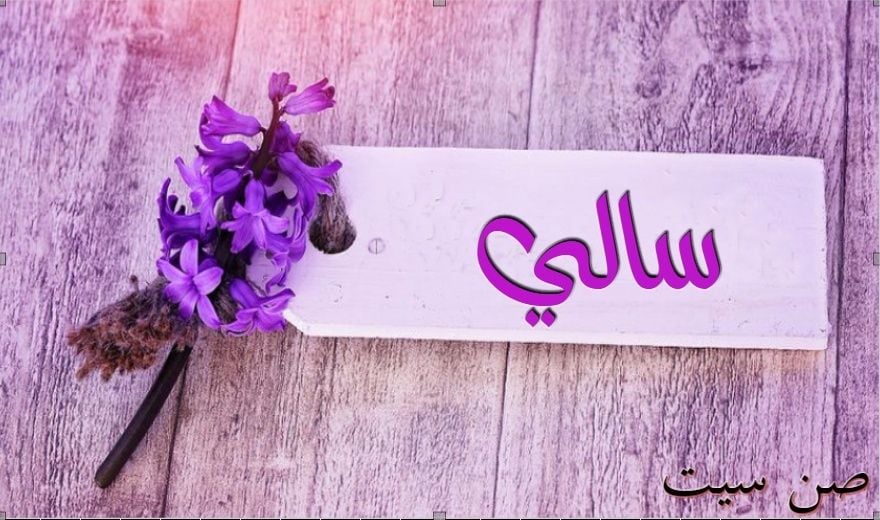رسائل حب باسم سالي