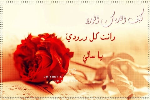 رسائل حب باسم سالي