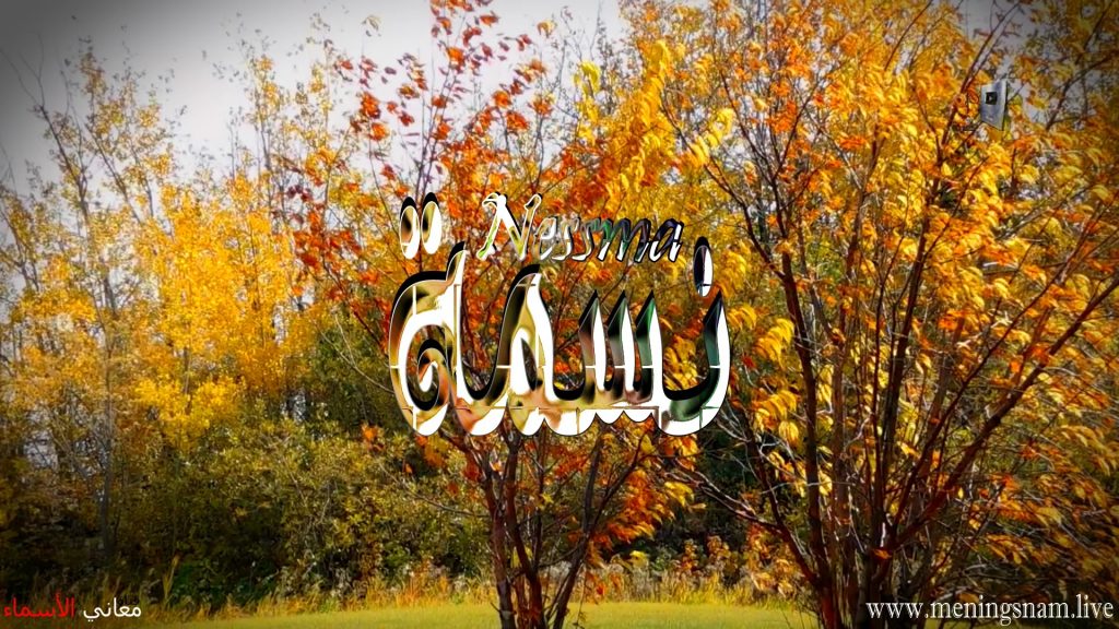 رسائل حب باسم نسمه