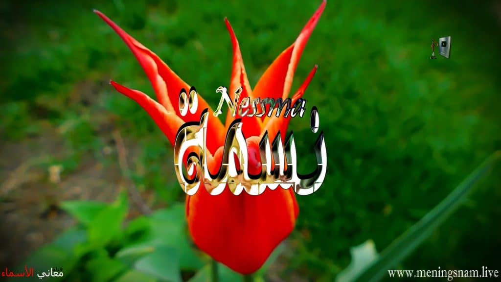 رسائل حب باسم نسمه