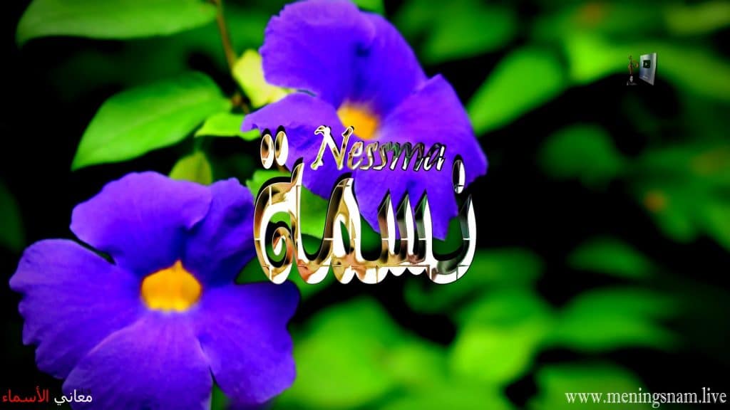 رسائل حب باسم نسمه