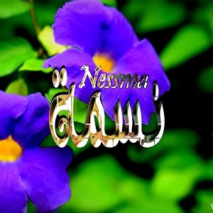 رسائل حب باسم نسمه