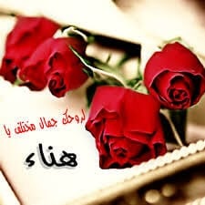 رسائل حب باسم هناء