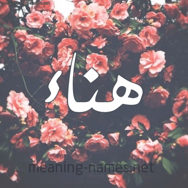 رسائل حب باسم هناء