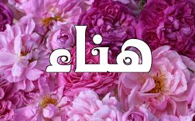 رسائل حب باسم هناء