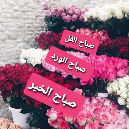 رسائل صباحيه بالصور