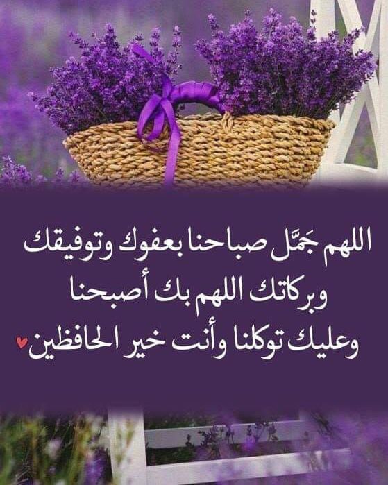 رسائل صباحيه بالصور
