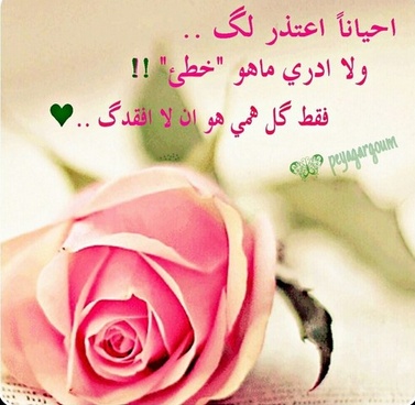 رسالة اعتذار لصديق قصيرة للتعبير