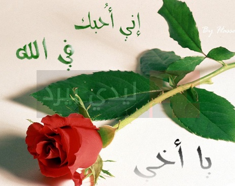 رسالة اعتذار للاستاذ