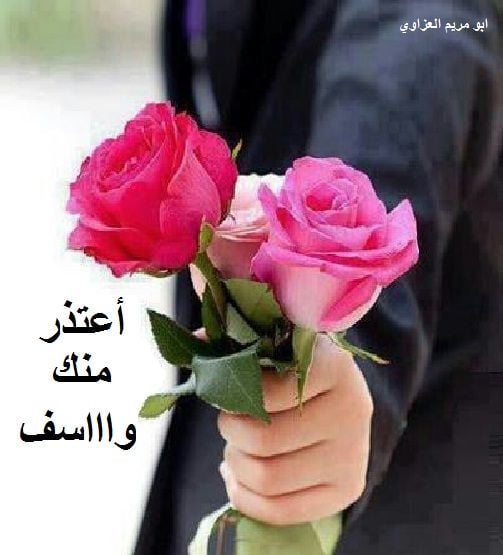 رسالة اعتذار للاستاذ