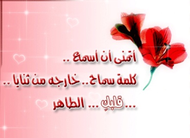 رسالة اعتذار للاستاذ