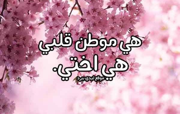 رسالة حب لاختي الغالية