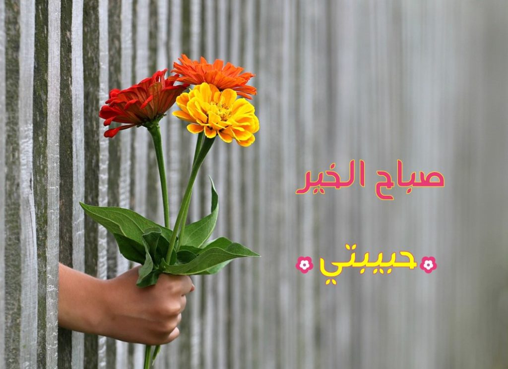 رسالة حب لزوجتي في الصباح
