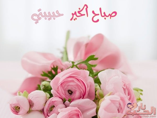 رسالة حب لزوجتي في الصباح