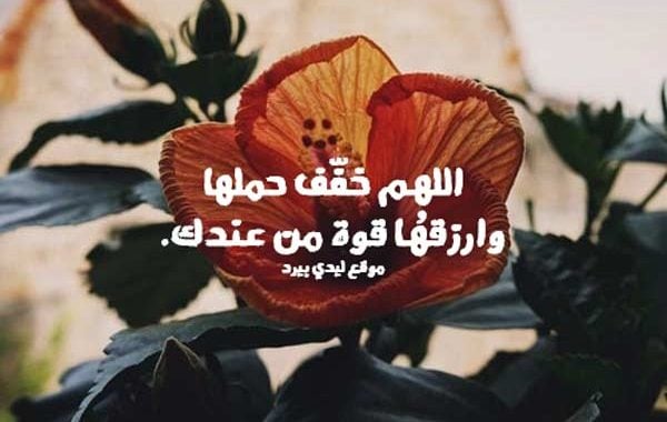 رسالة حب لزوجتي قصيرة