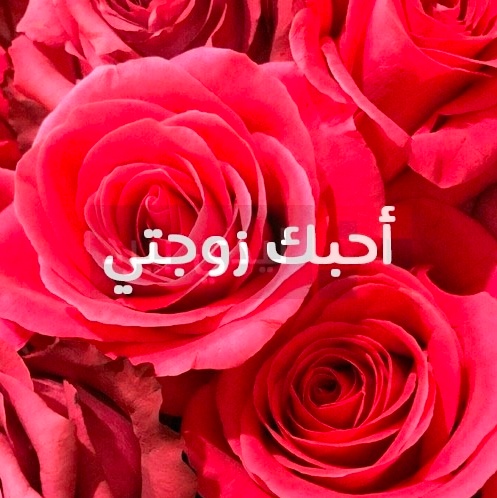 رسالة حب لزوجتي