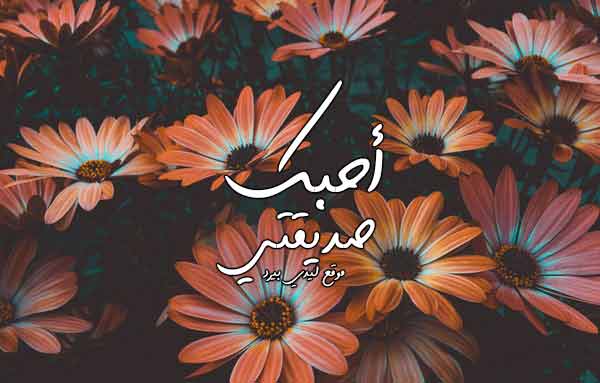 رسالة حب لصديقتي