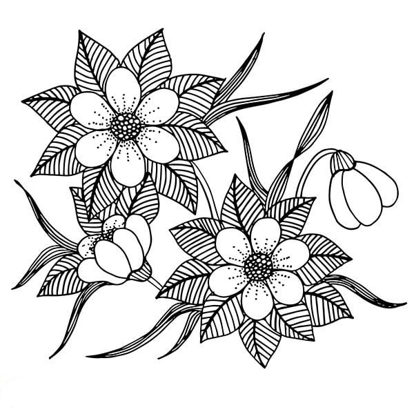 رسومات اطفال للتلوين للبنات