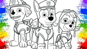 رسومات تلوين دوريات المخلاب