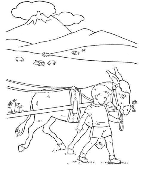رسومات تلوين رفق