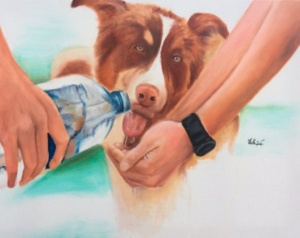 رسومات تلوين رفق
