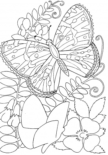 رسومات تلوين شتاء