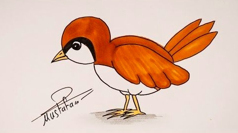 رسومات تلوين صقر