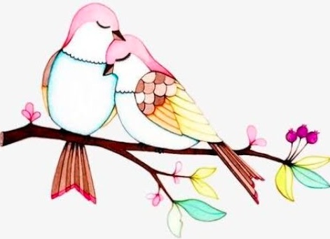 رسومات تلوين صقر