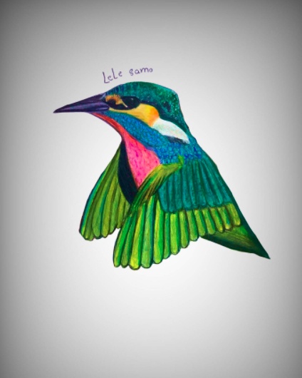 رسومات تلوين صقر