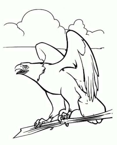 رسومات تلوين صقر