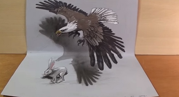 رسومات تلوين صقر