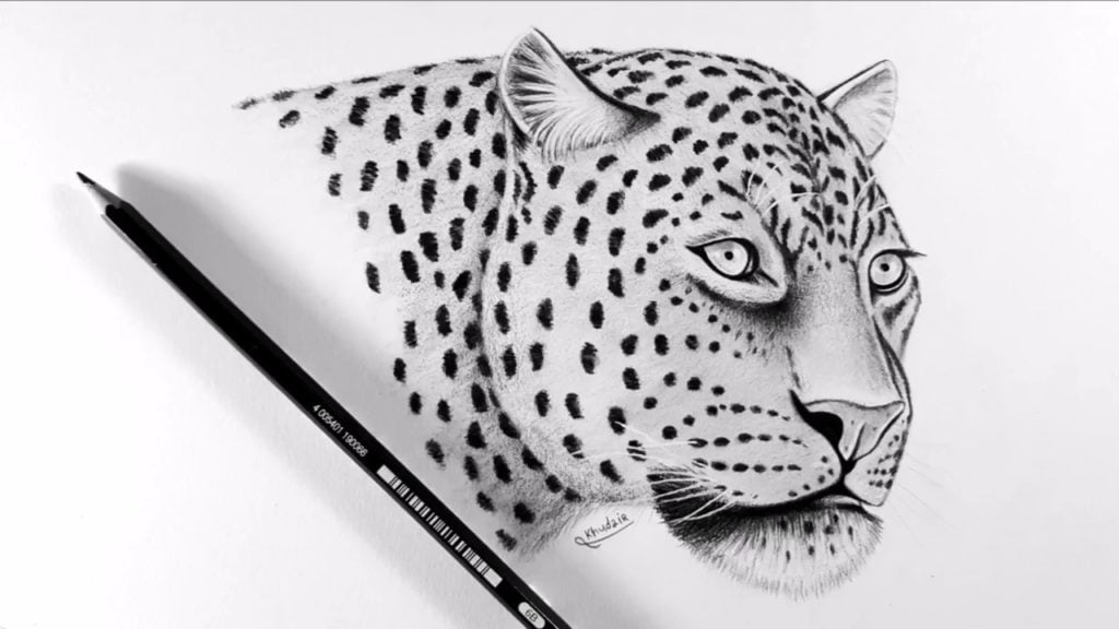 رسومات تلوين نمر