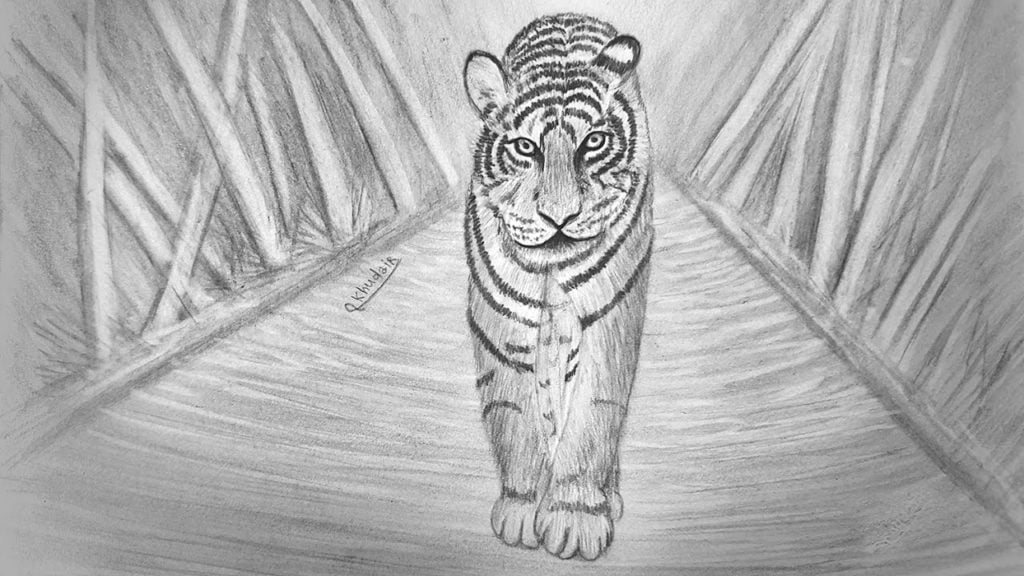 رسومات تلوين نمر