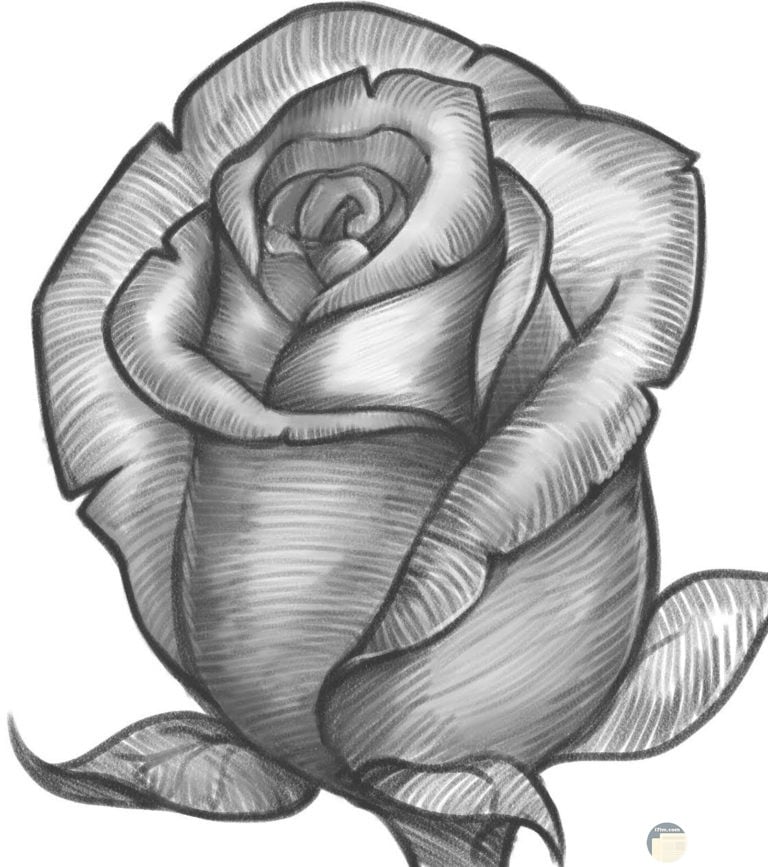 رسومات جميلة