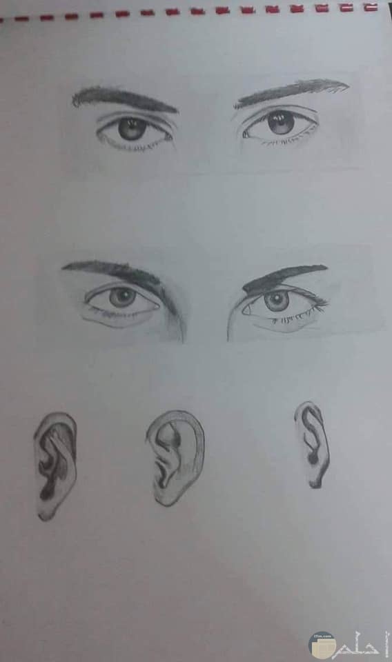 رسومات جميلة