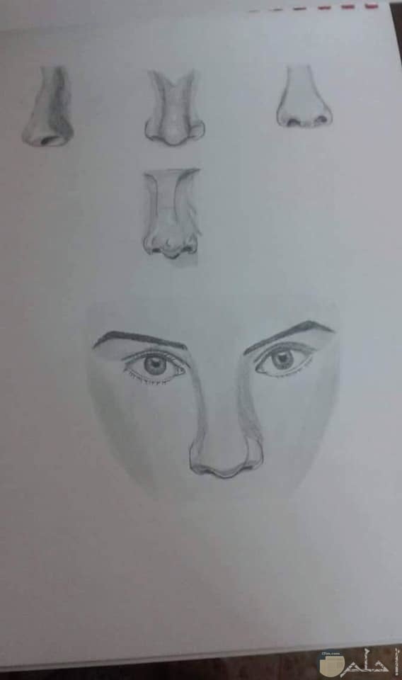 رسومات جميلة