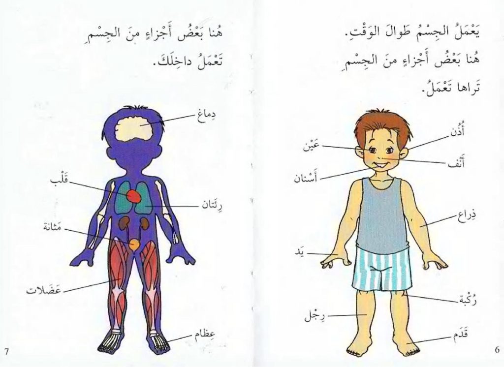 رسومات للتلوين عن اعضاء الجسم