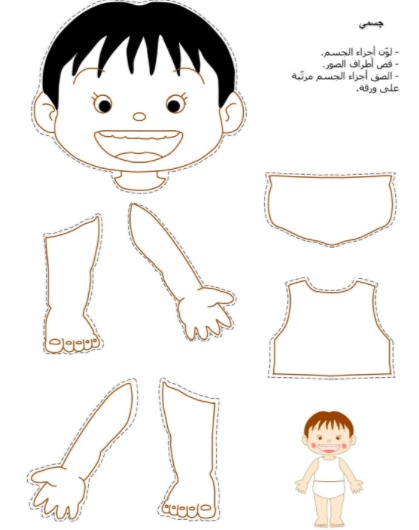 رسومات للتلوين عن اعضاء الجسم