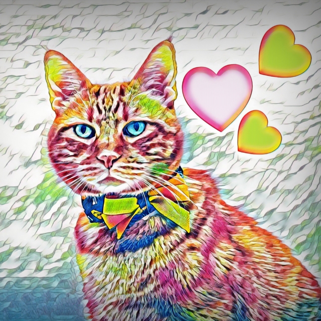 رسومات للتلوين قطط