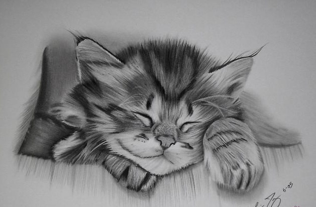 رسومات للتلوين قطط