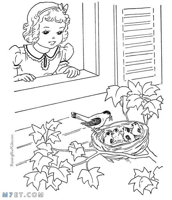 رسومات للتلوين للاطفال للطباعة