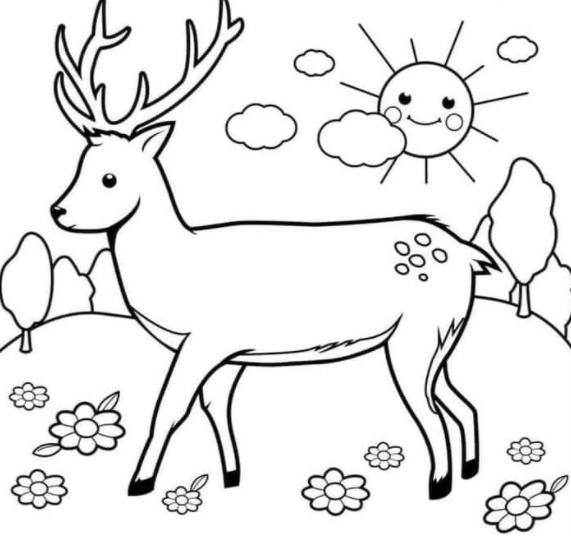 رسومات للتلوين للقسم التحضيري