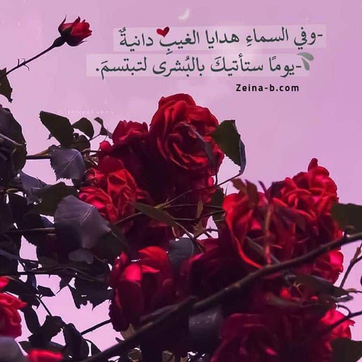 رمزيات بنات على الارجوحة