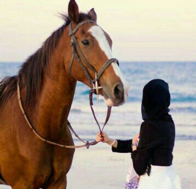 رمزيات خيول وبنات