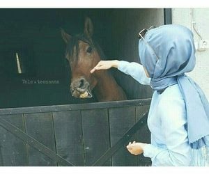 رمزيات خيول وبنات